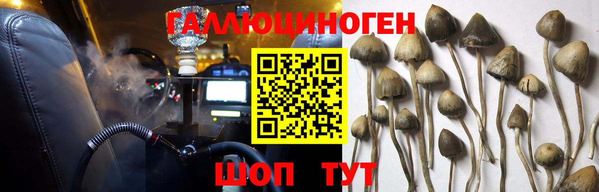 Галлюциногенные грибы GOLDEN TEACHER  Галлюциногенные грибы MAGIC MUSHROOMS  Михайловск  Вход с VPN 