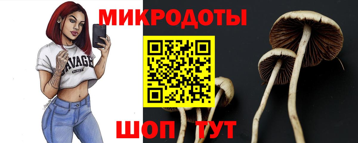 Псилоцибиновые грибы Psilocybine cubensis Михайловск